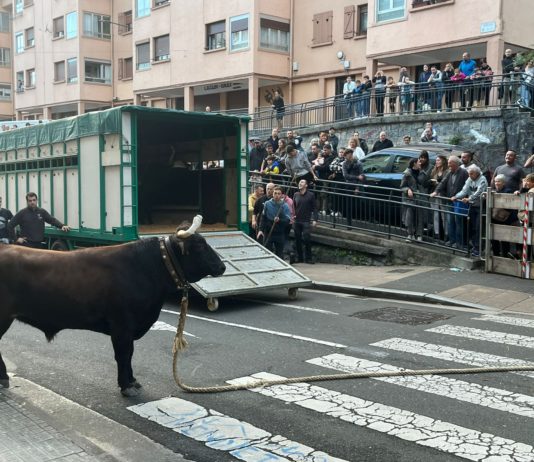 Bueltan da San Martin jaietako sokamuturra