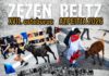 OHITURAK TINKO JARRAITZEN DU ZEZEN BELTZ ASTEBURUAN